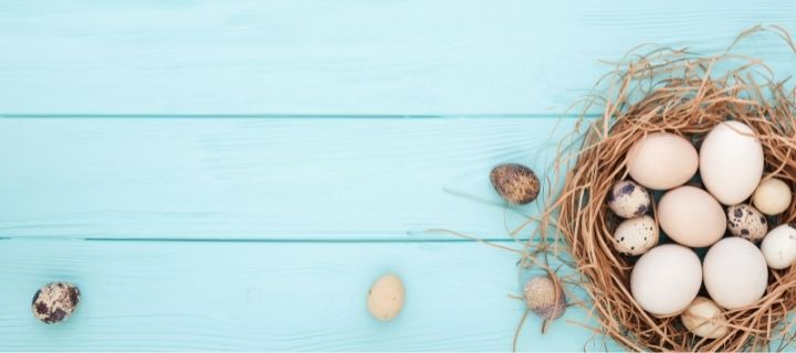 Nest egg financial planning